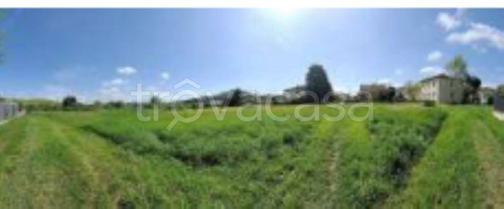 immagine annuncio 8 di 11