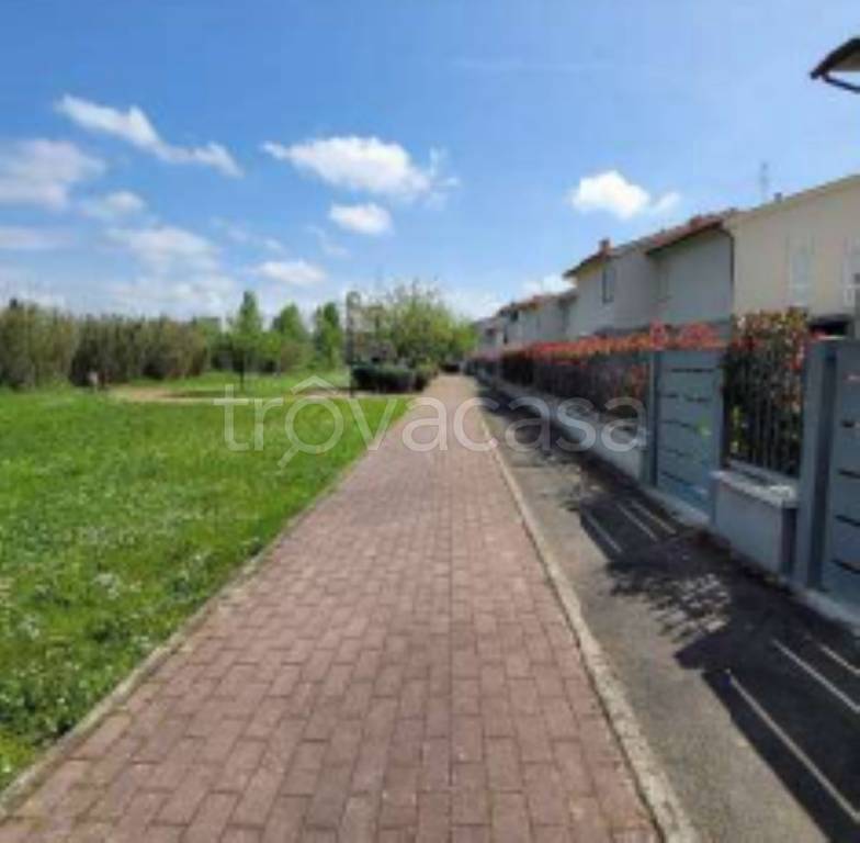 immagine annuncio 10 di 11