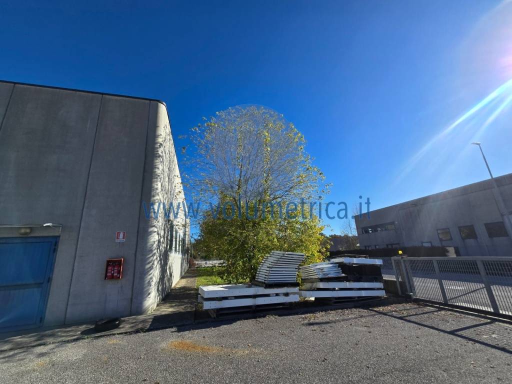 immagine annuncio 6 di 15