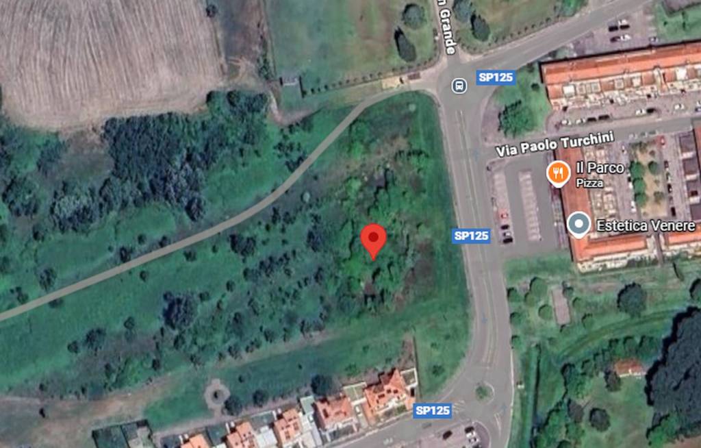 immagine annuncio 7 di 11