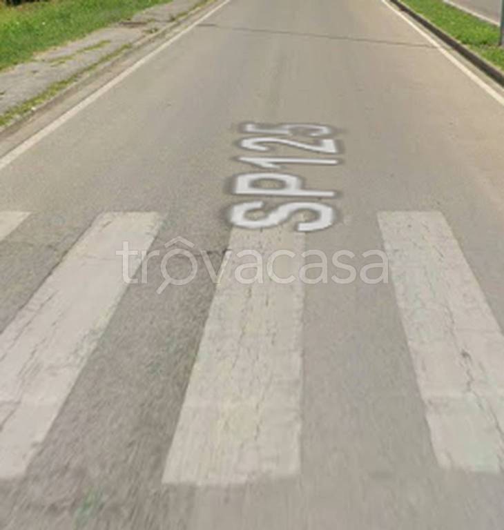 immagine annuncio 1 di 11