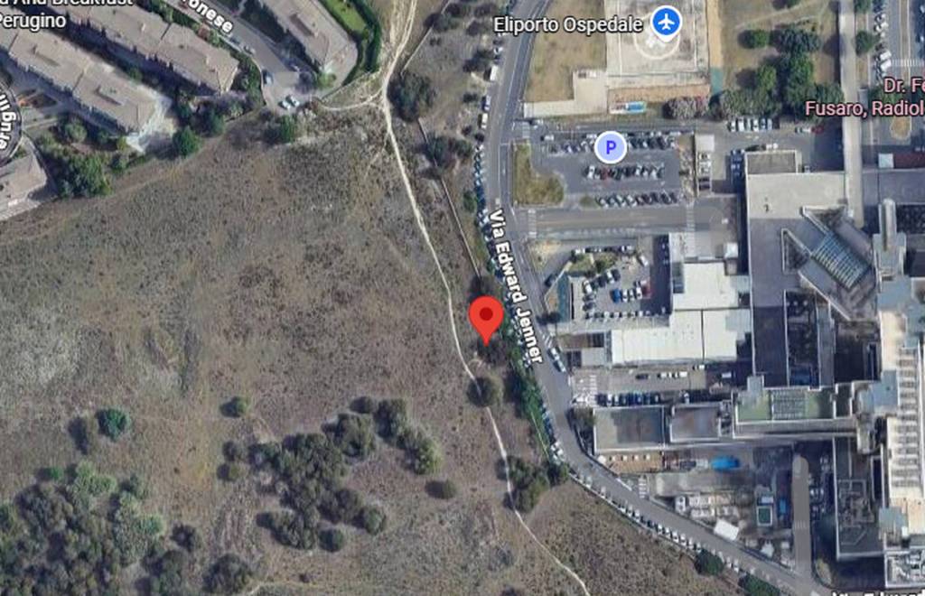 immagine annuncio 9 di 12