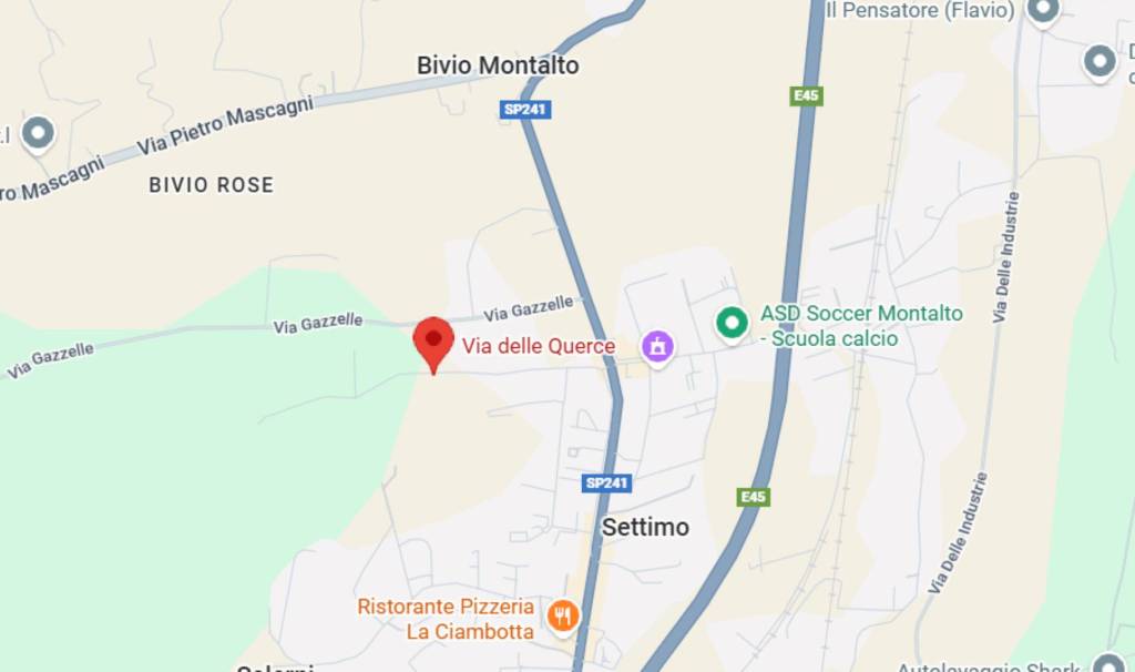 immagine annuncio 6 di 10