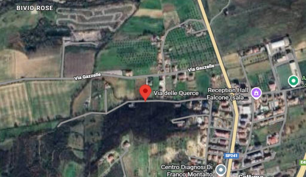 immagine annuncio 7 di 10