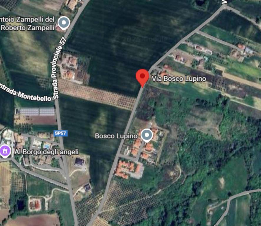 immagine annuncio 1 di 11