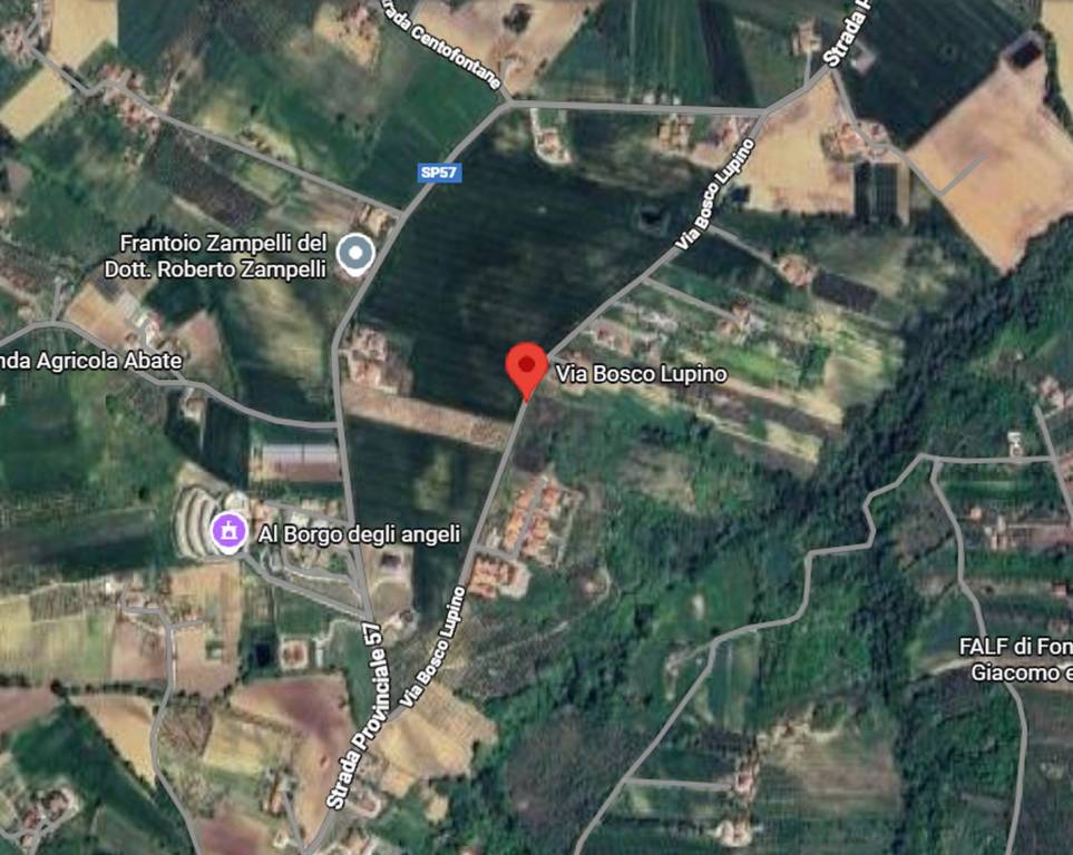 immagine annuncio 2 di 11