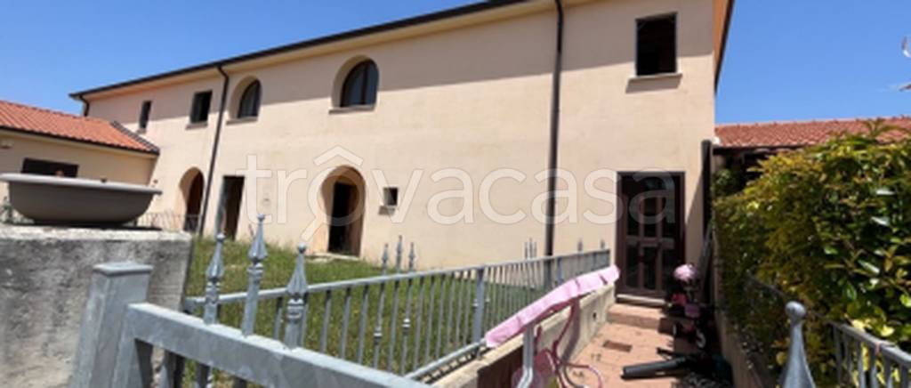 immagine annuncio 6 di 12