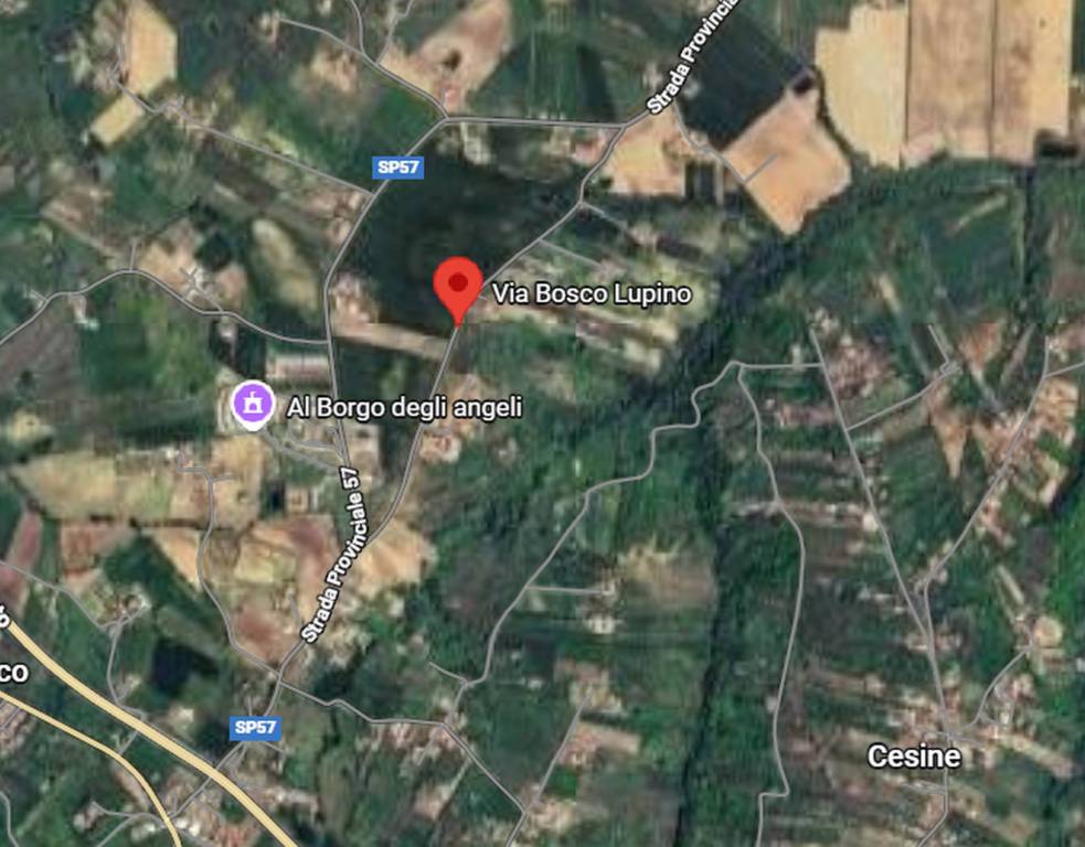 immagine annuncio 3 di 11