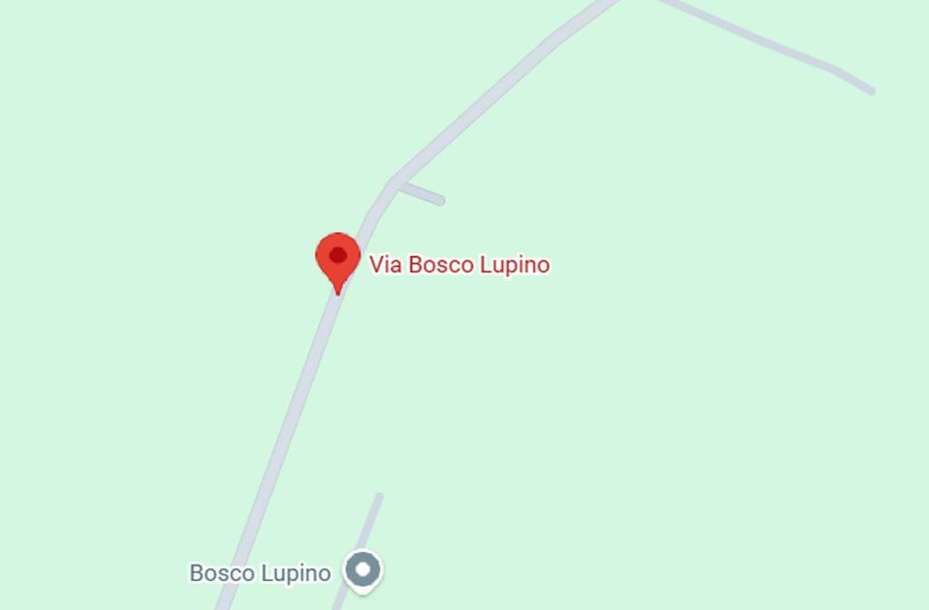 immagine annuncio 4 di 11