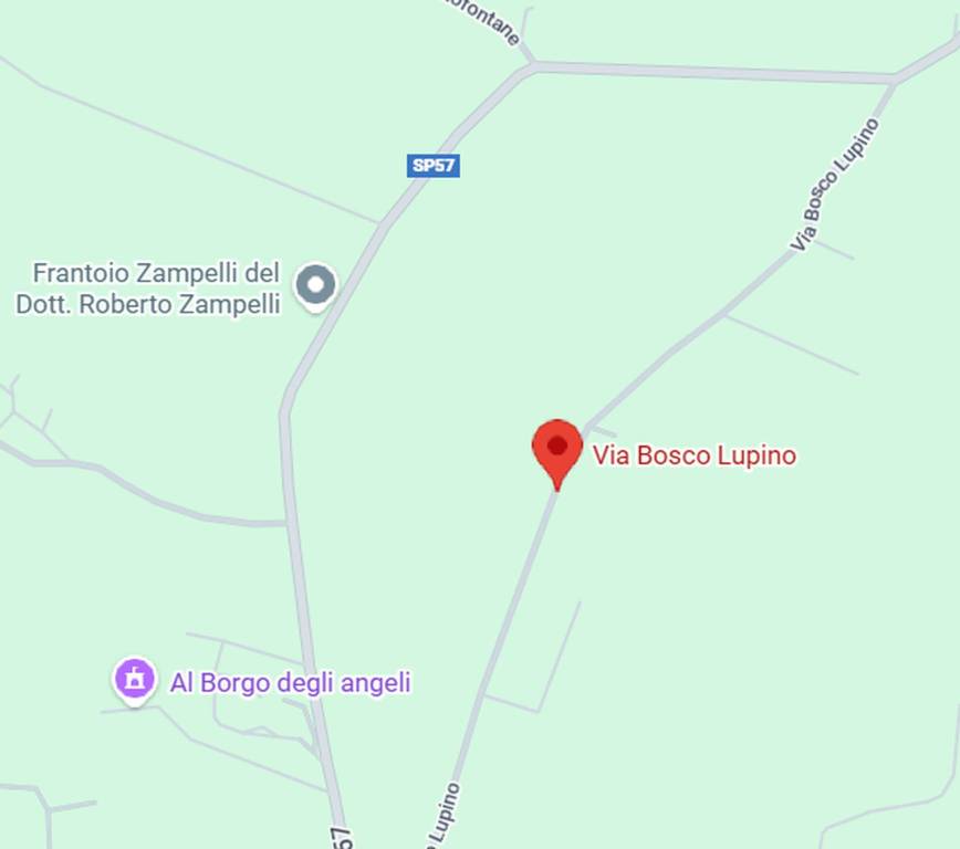 immagine annuncio 5 di 11