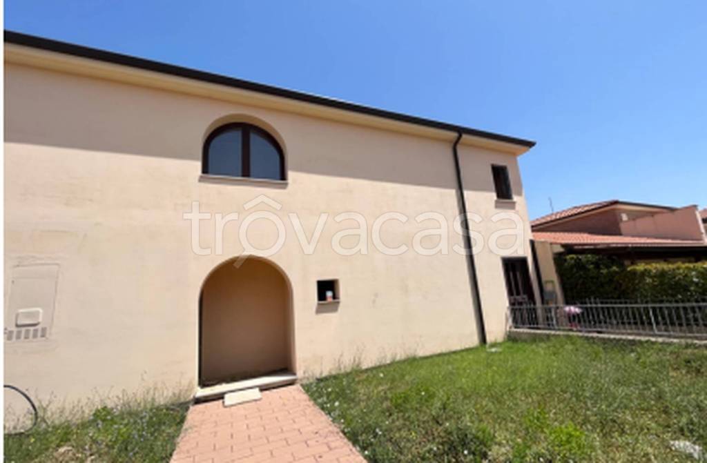 immagine annuncio 10 di 12