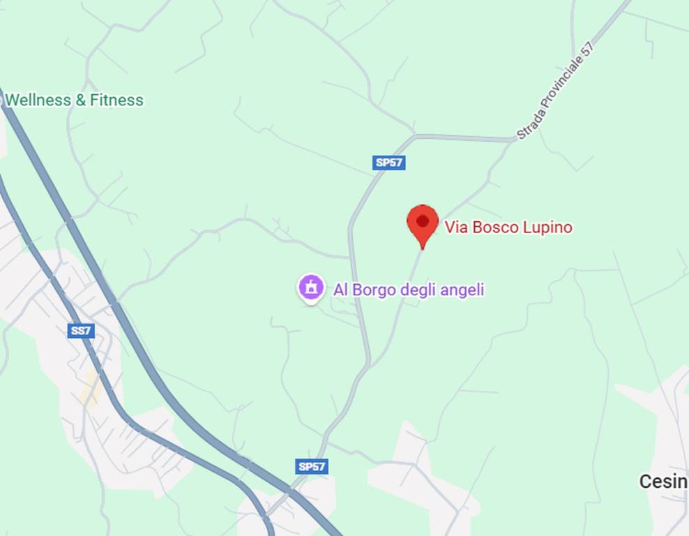 immagine annuncio 6 di 11