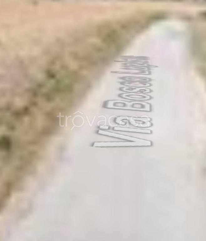 immagine annuncio 8 di 11