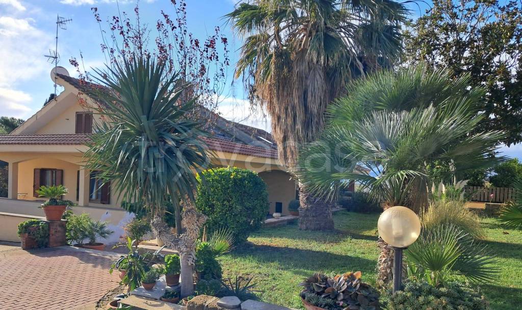 immagine annuncio 1 di 8