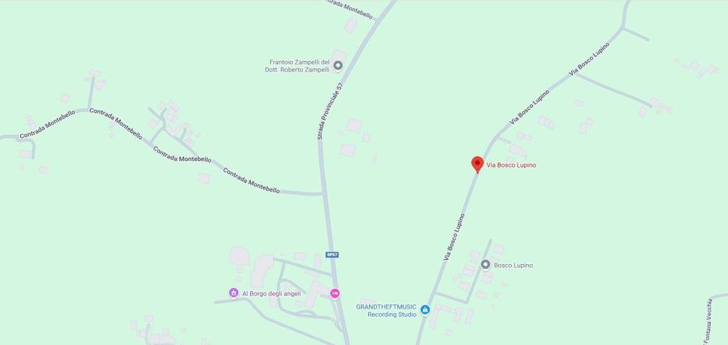 immagine annuncio 9 di 10