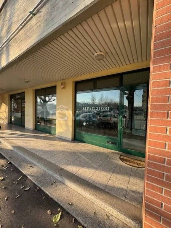 immagine annuncio 11 di 14