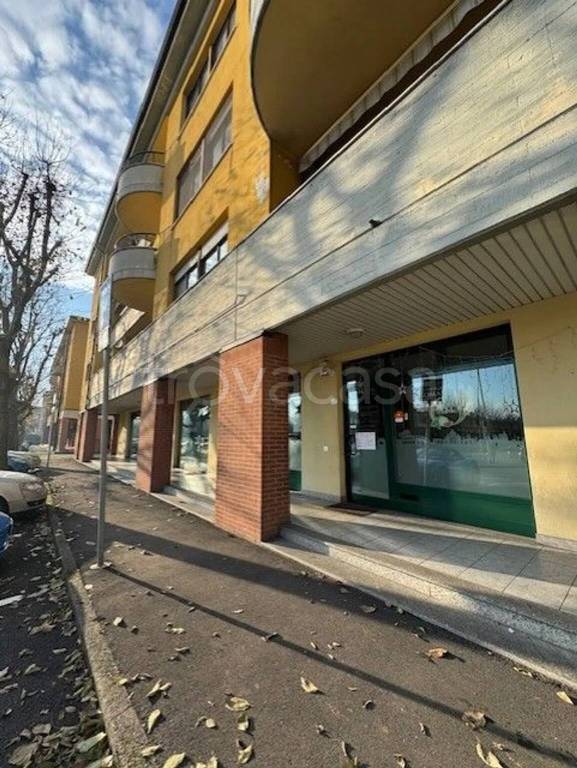 immagine annuncio 12 di 14