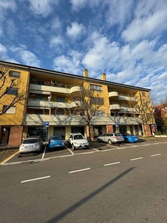 immagine annuncio 13 di 14