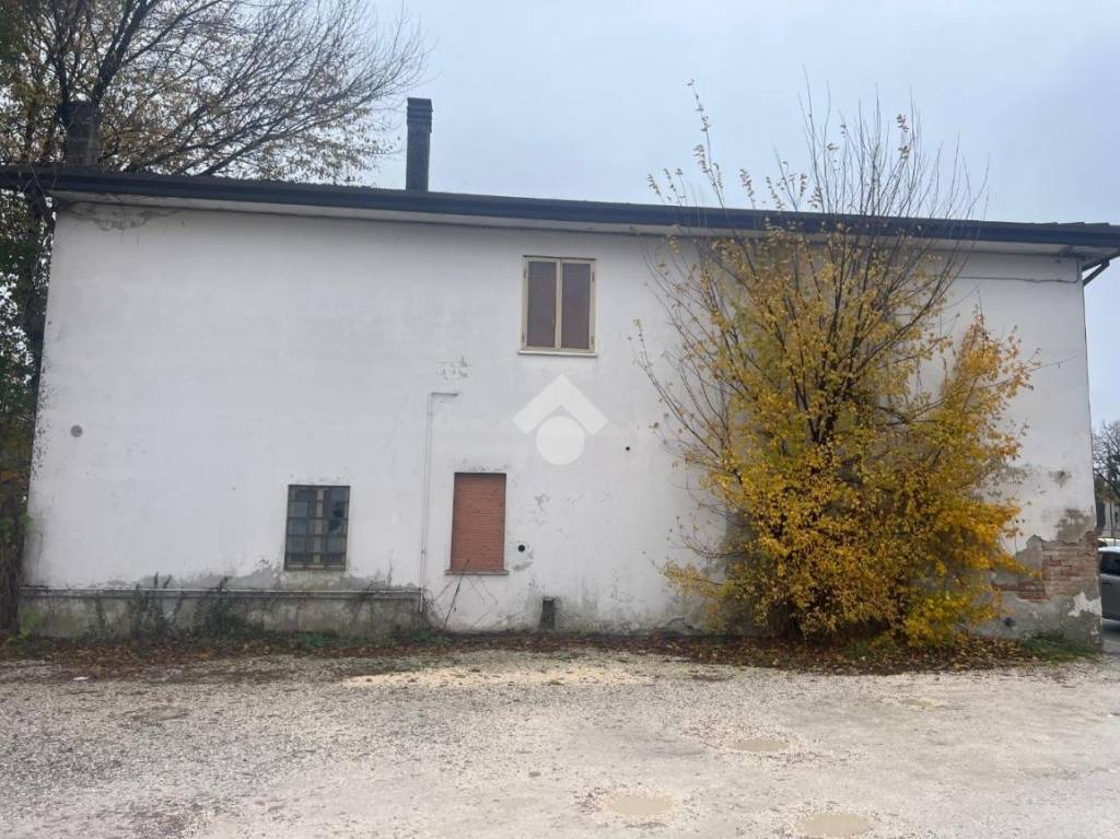 immagine annuncio 3 di 8