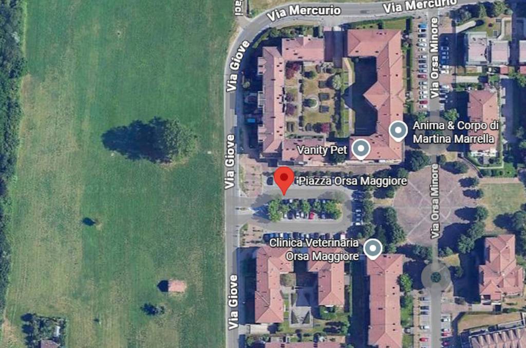 immagine annuncio 6 di 10