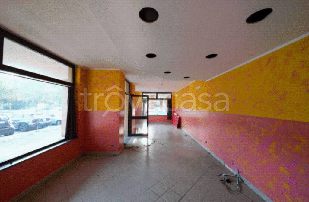 immagine annuncio 6 di 11