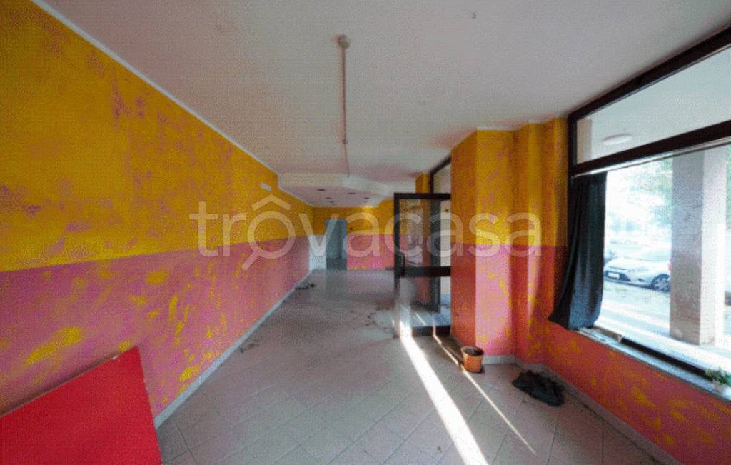 immagine annuncio 7 di 11