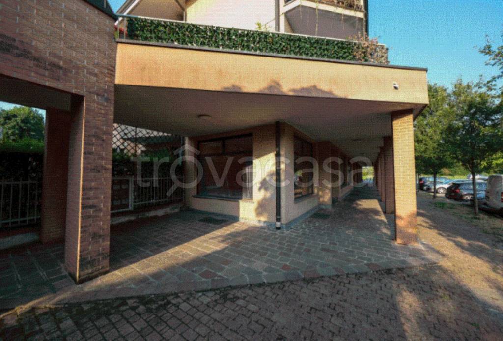 immagine annuncio 8 di 11