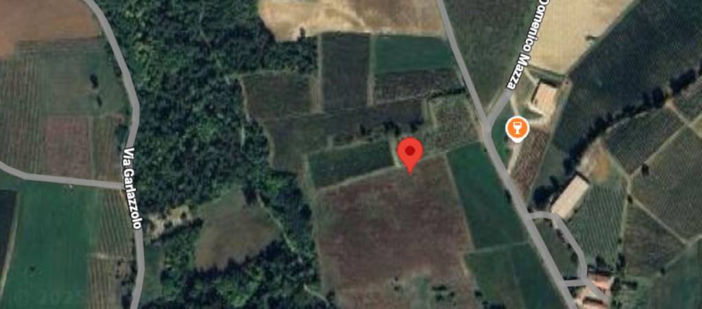 immagine annuncio 10 di 12