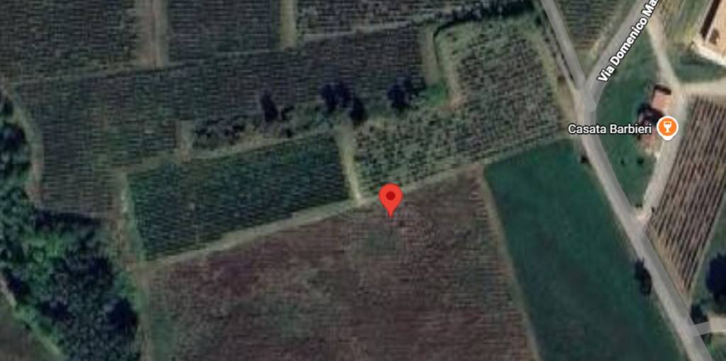 immagine annuncio 11 di 12