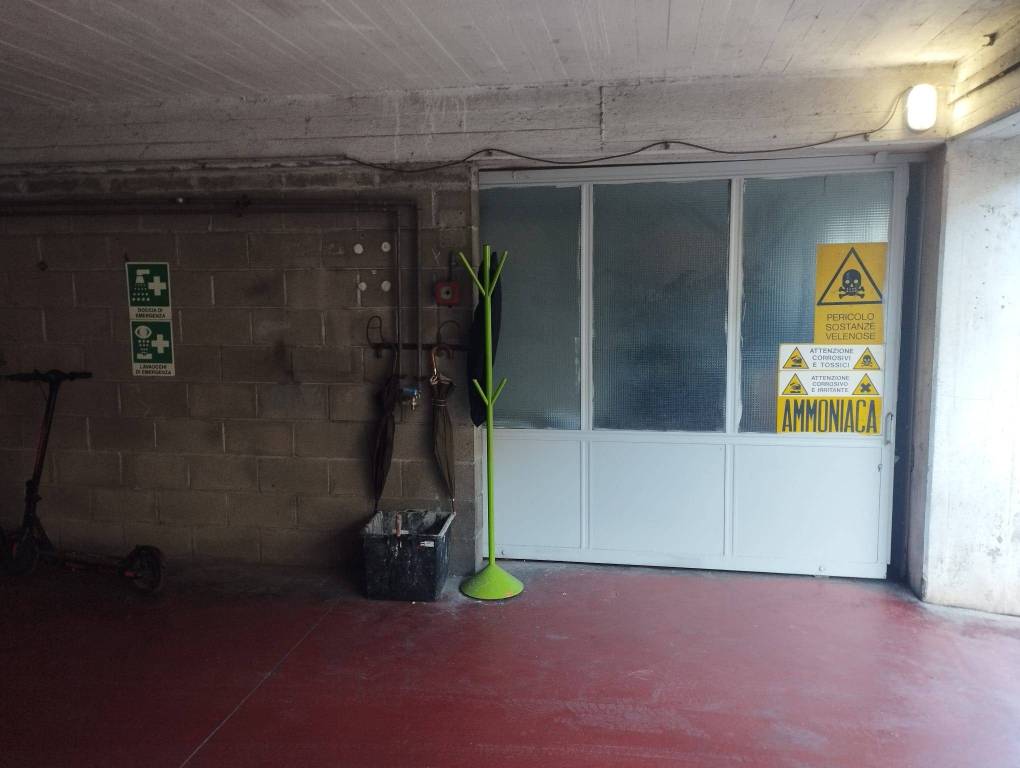 immagine annuncio 5 di 8