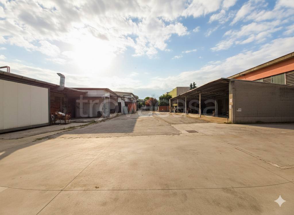 immagine annuncio 6 di 8