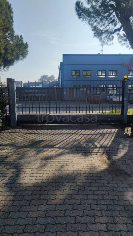 immagine annuncio 7 di 8