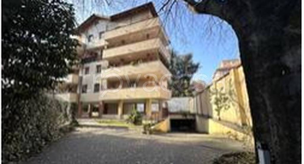 immagine annuncio 3 di 11