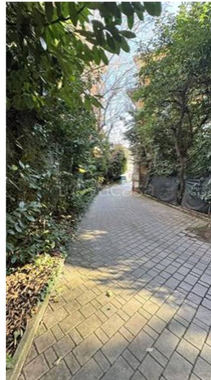 immagine annuncio 6 di 11