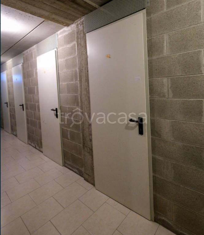 immagine annuncio 2 di 12