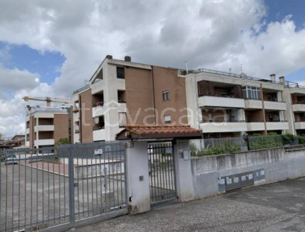 immagine annuncio 1 di 12