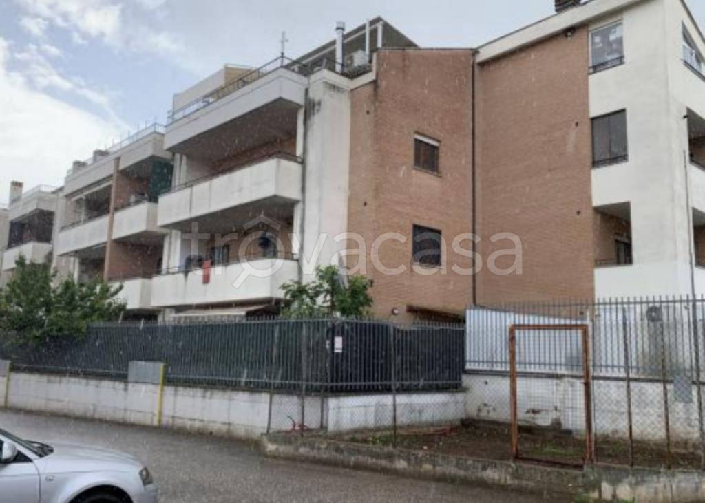 immagine annuncio 2 di 12