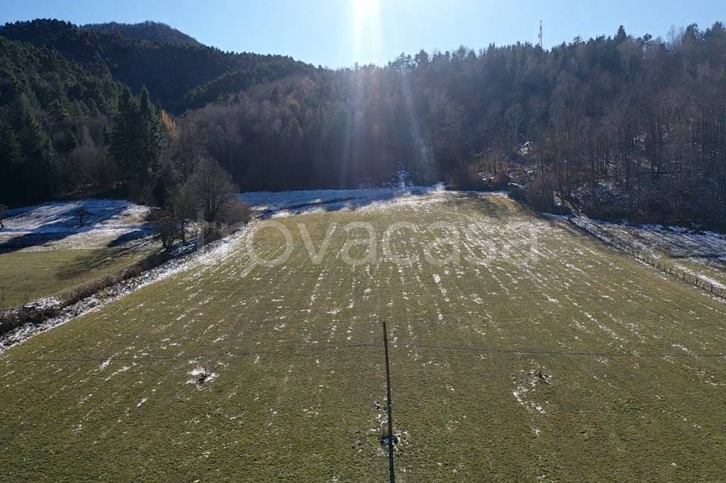 immagine annuncio 5 di 7