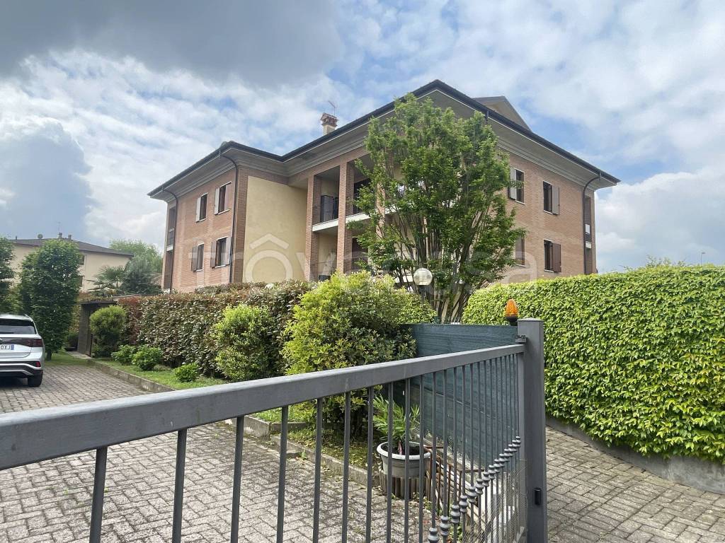 immagine annuncio 6 di 15