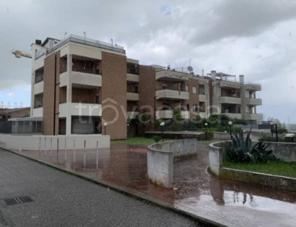 immagine annuncio 5 di 12