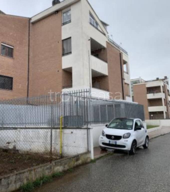 immagine annuncio 6 di 12