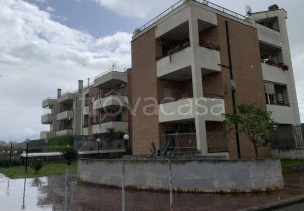 immagine annuncio 8 di 12