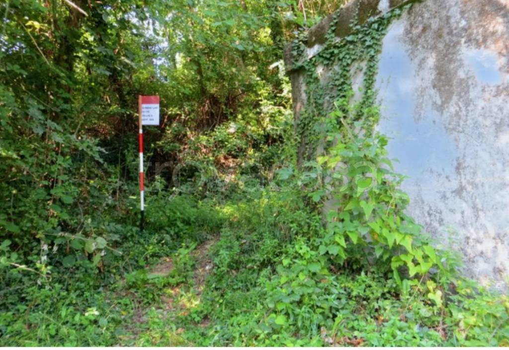 immagine annuncio 6 di 11