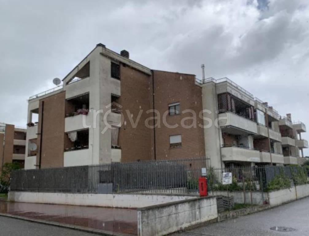 immagine annuncio 9 di 12