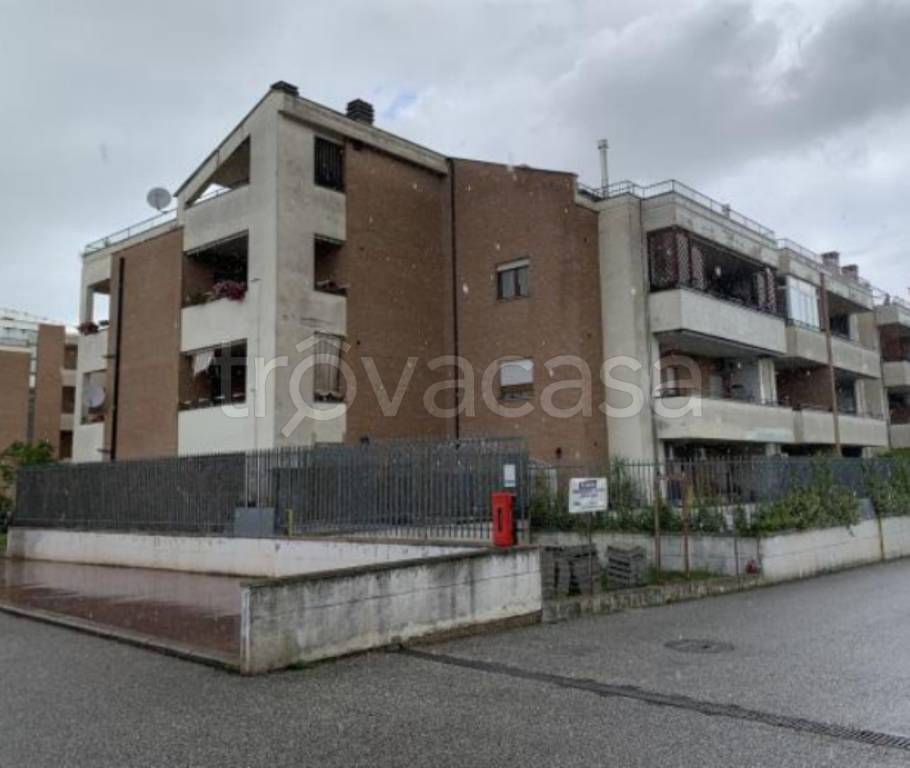 immagine annuncio 10 di 12