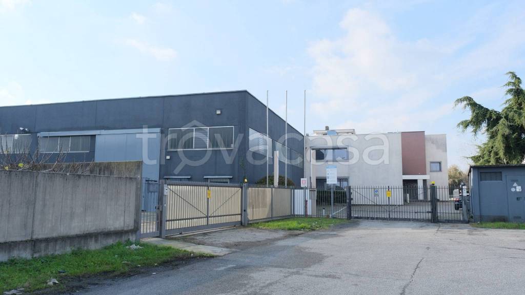 immagine annuncio 12 di 15