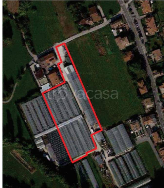 immagine annuncio 2 di 11