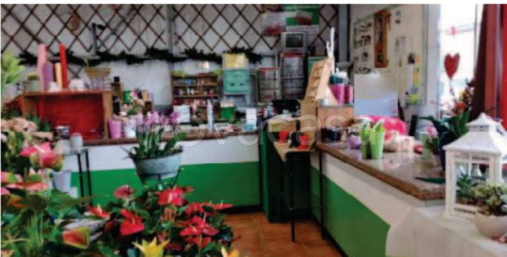 immagine annuncio 6 di 11