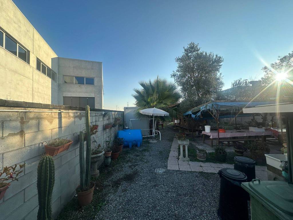 immagine annuncio 4 di 10