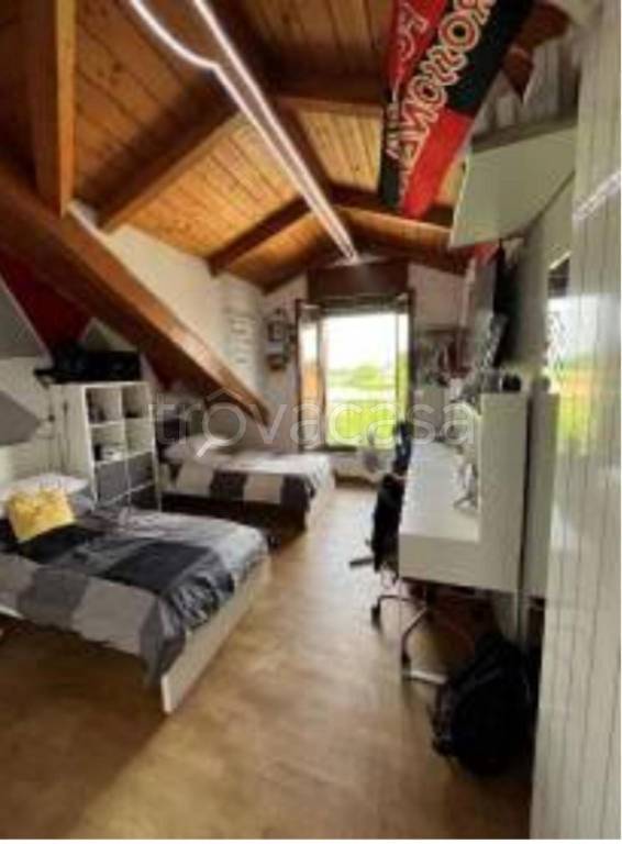 immagine annuncio 5 di 14